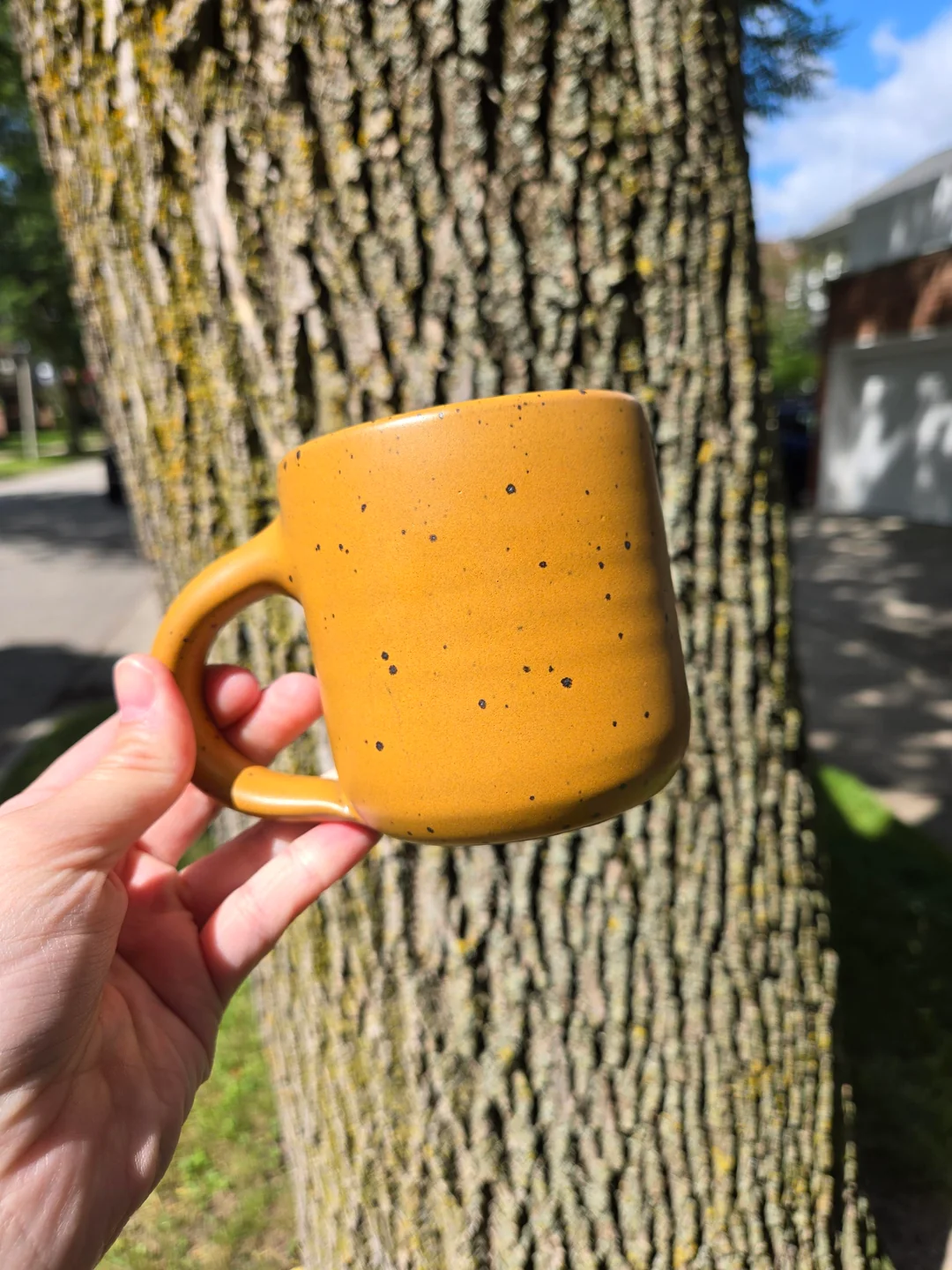 Limited Edition East Fork Studios mug in Harvest Moon that I literally found in a bush
