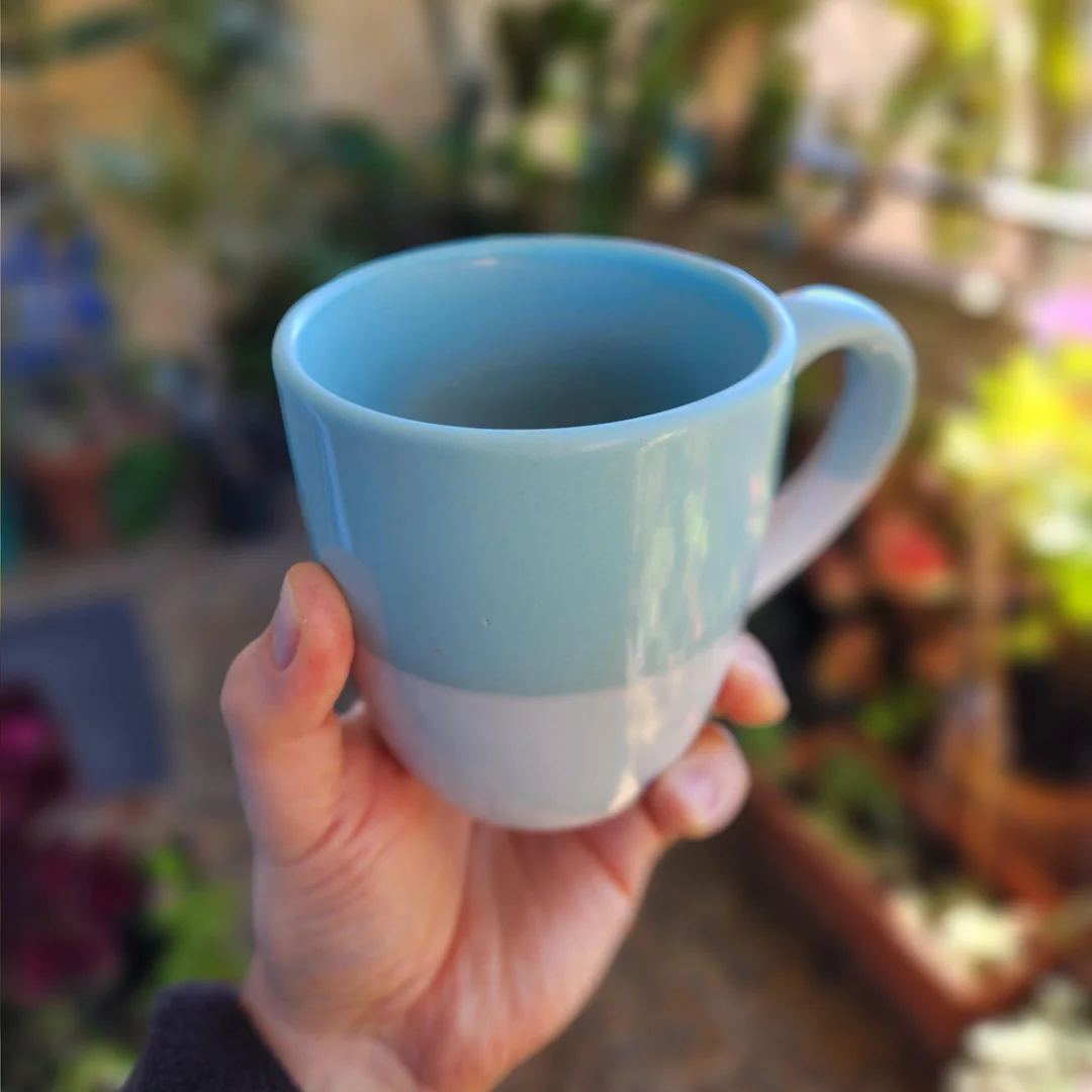 Rescued this one from the side of the road